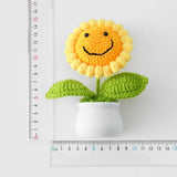 Crochet Smiling Sunflower Pot