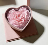 Pink Rose, Preserved Pink  Rose Gift Box  On A White Background